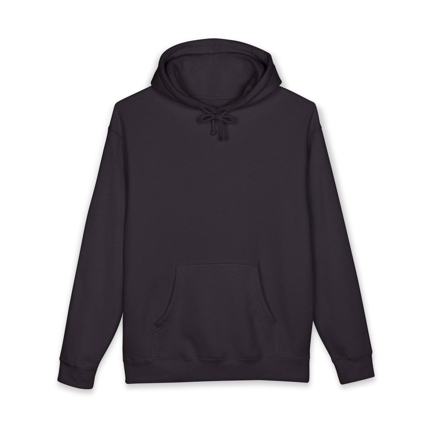 PASE Packer Heavyweight Hooded Sweatshirt