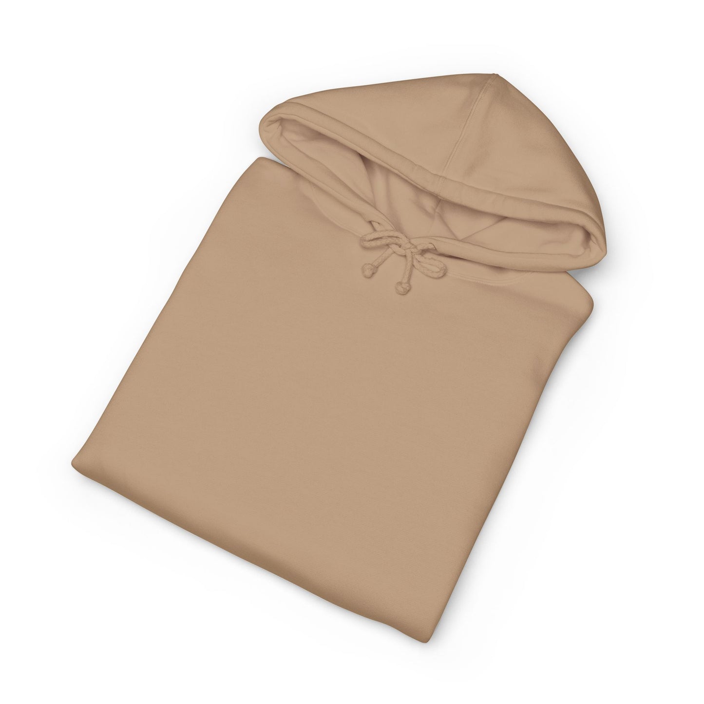 PASE Packer Heavyweight Hooded Sweatshirt