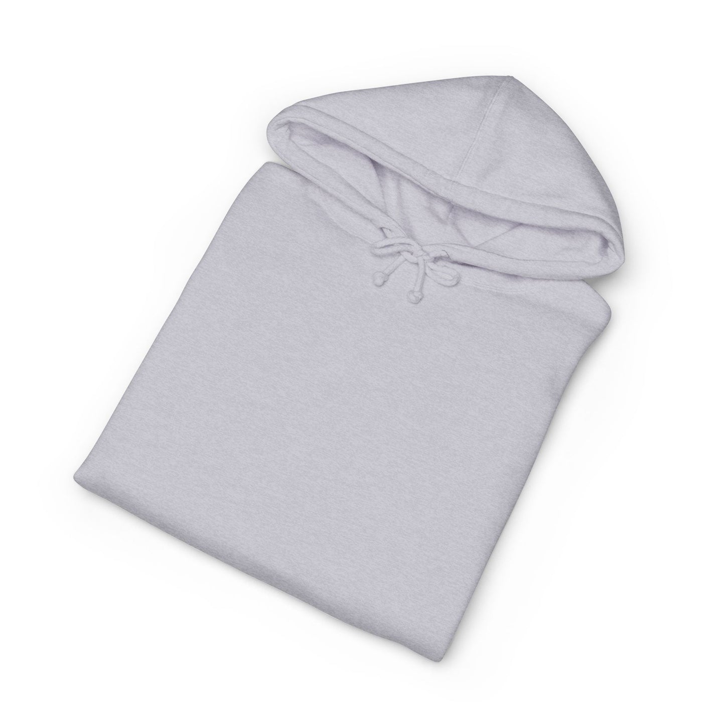 PASE Packer Heavyweight Hooded Sweatshirt