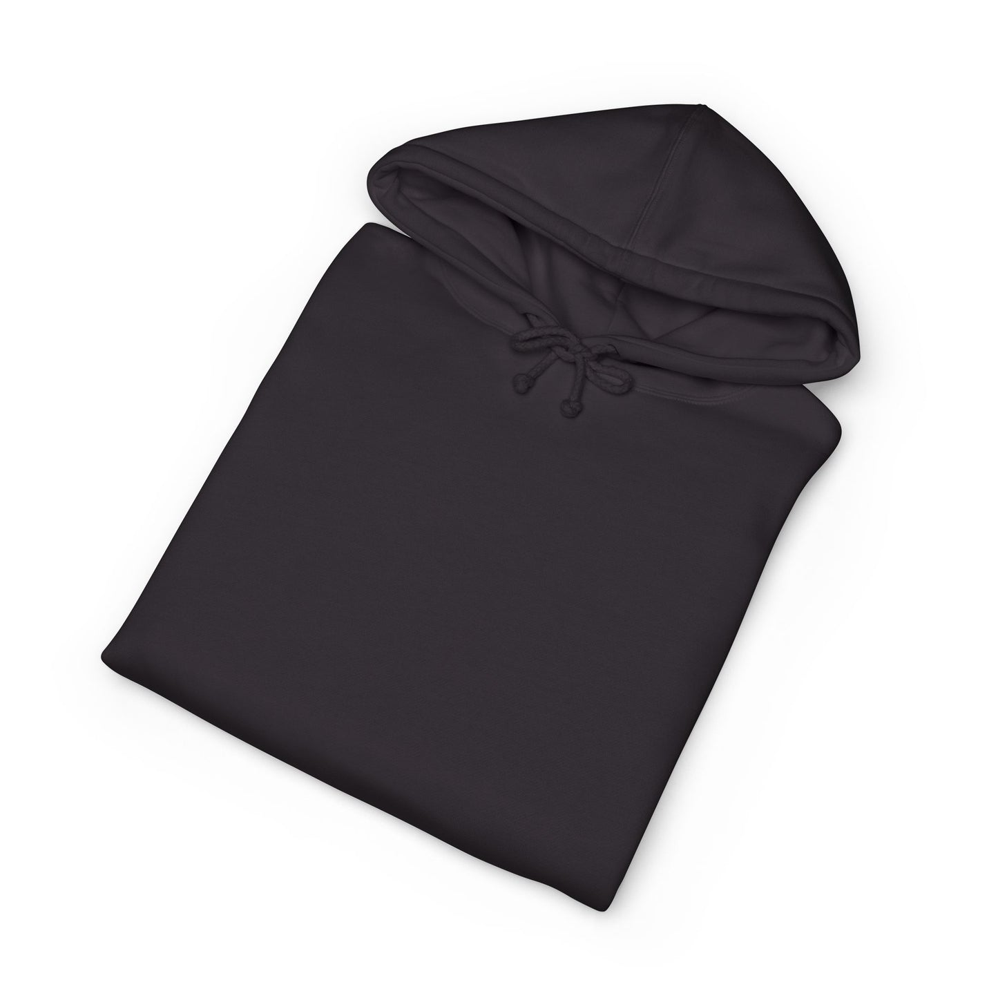 PASE Packer Heavyweight Hooded Sweatshirt