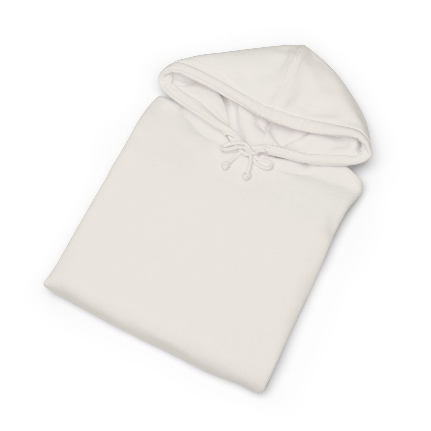 PASE Packer Heavyweight Hooded Sweatshirt