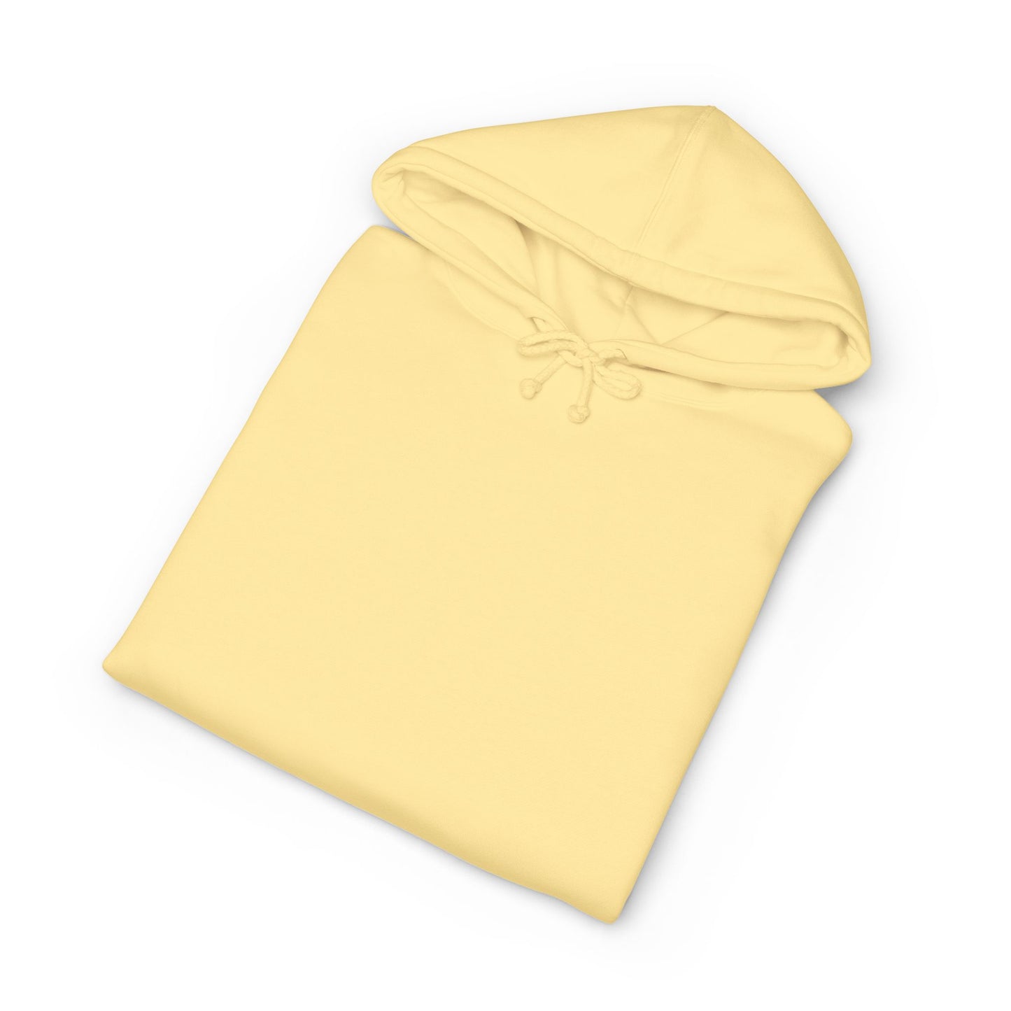 PASE Packer Heavyweight Hooded Sweatshirt