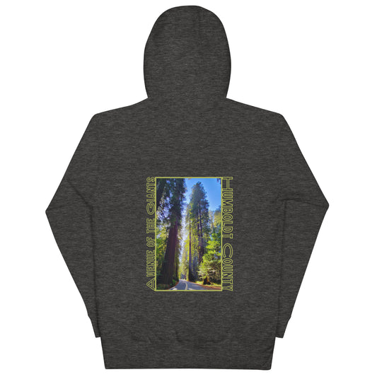 Avenue of the Giants Green Cotton Hoodie